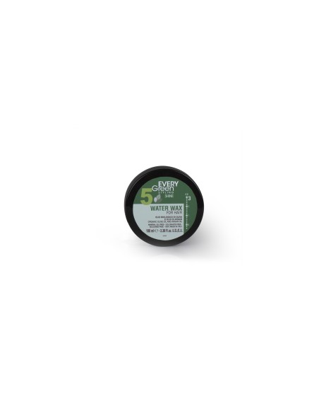 CERA MODELADORA A BASE DE AGUA EV5 100 ML EVERY GREEN