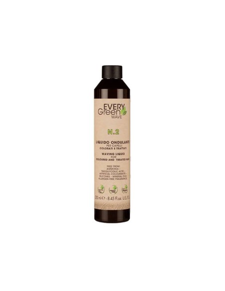 PERMANENTE Nº 2 250 ML EVERY GREEN