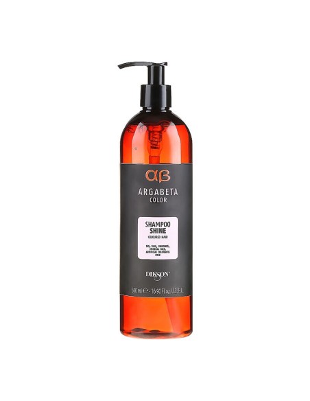 CHAMPU SHINE CABELLOS TEÑIDOS 500ML ARGABETA