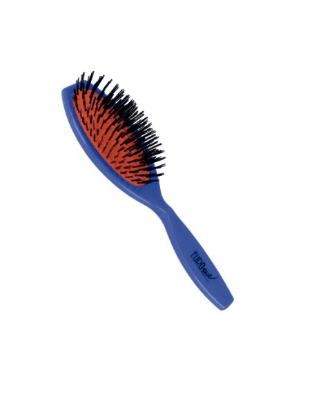 CEPILLO CON FUELLE MANGO DE PLASTICO EUROSTIL