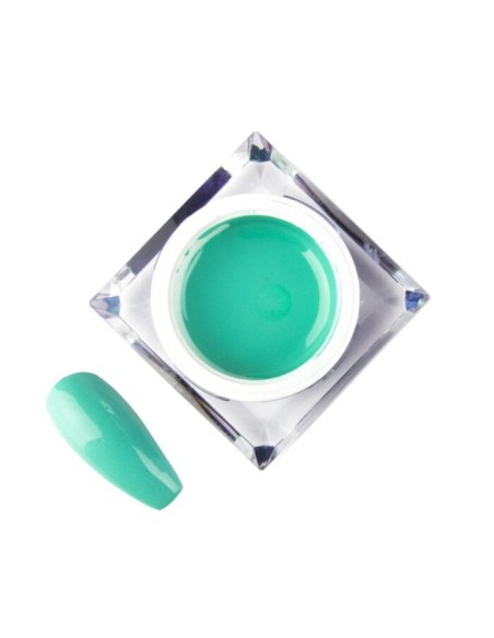 ARTISTIC GEL MINT 5ML MOLLY LAC